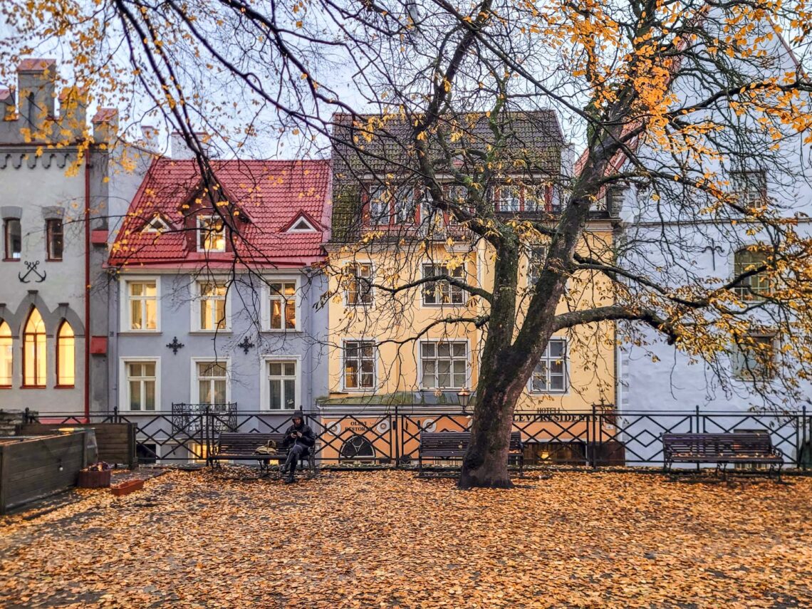 Matala sesonki Tallinnassa on mahtava aika matkustaa!